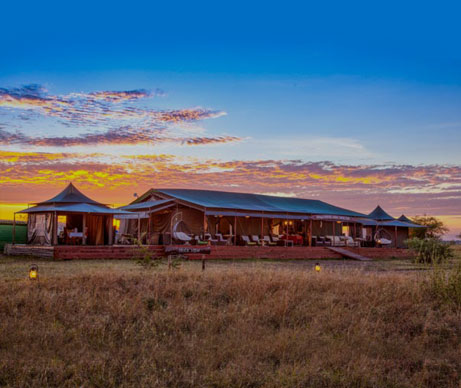 Safari tented camp at sunset